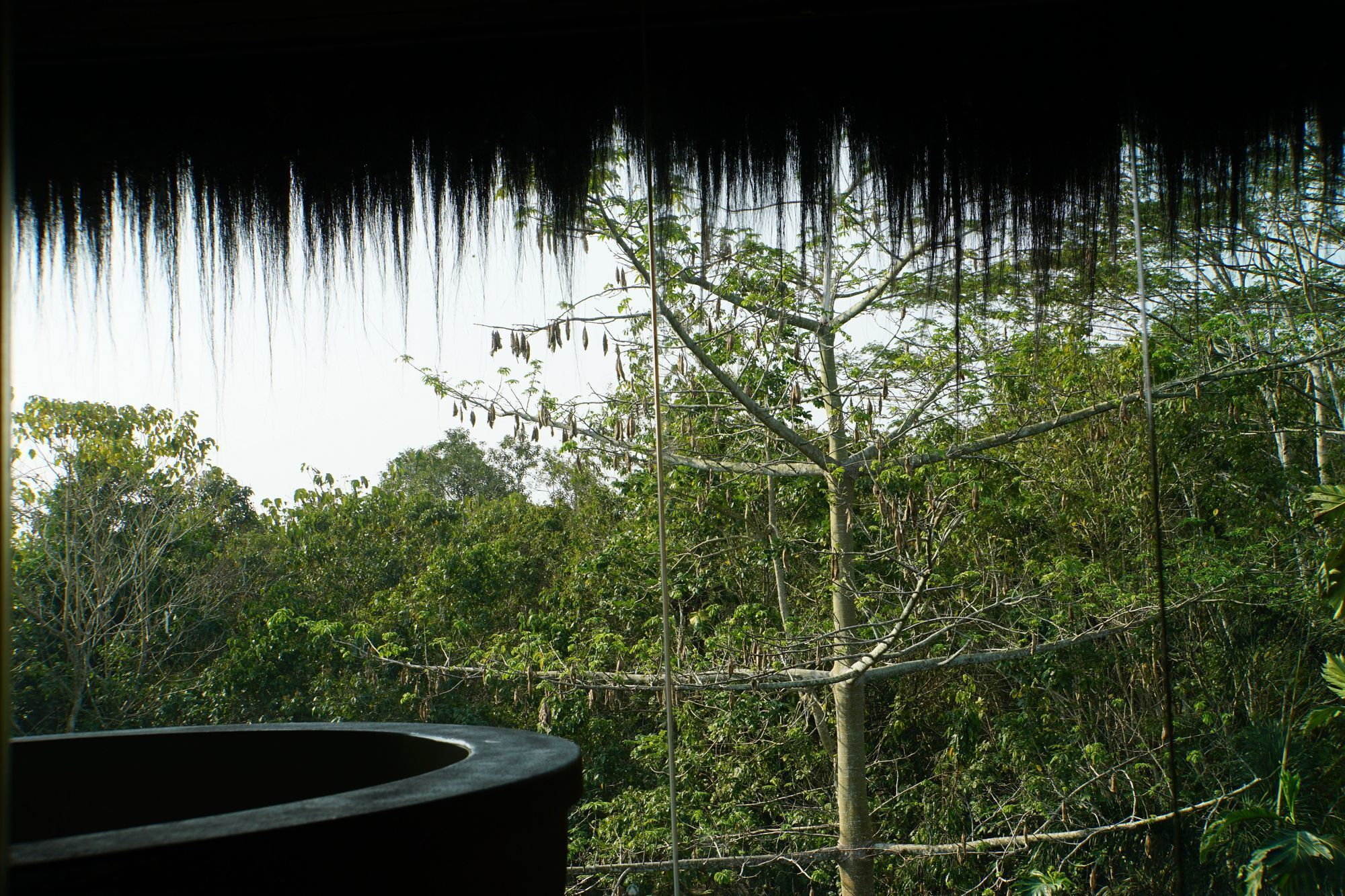 Samboja Lodge Balikpapan  Exterior foto