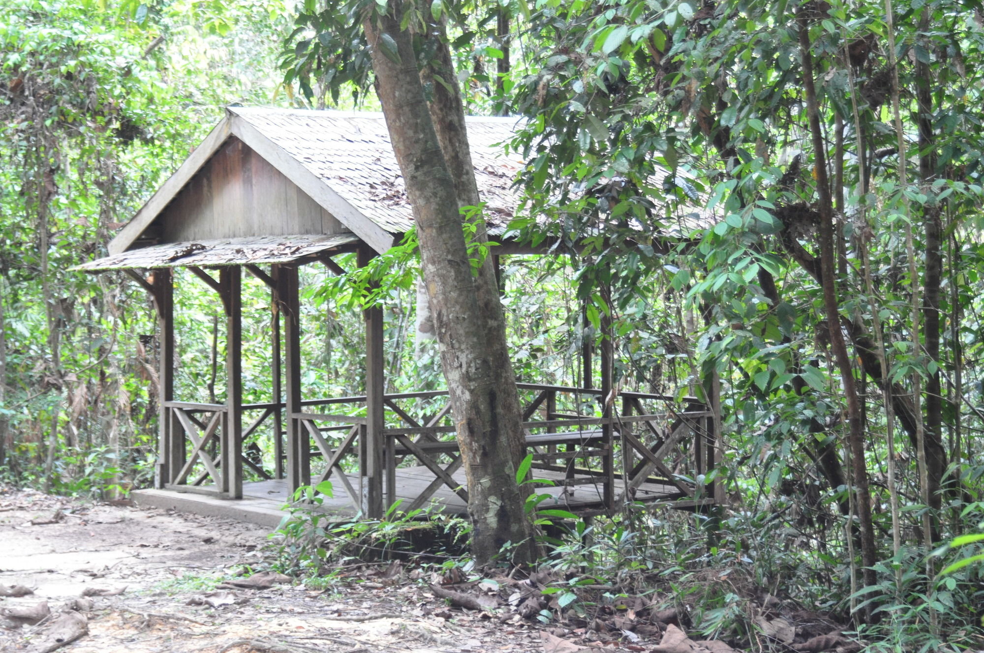 Samboja Lodge Balikpapan  Exterior foto